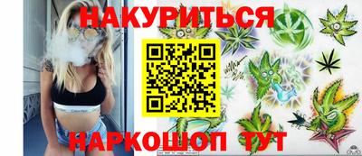 крисы Обь