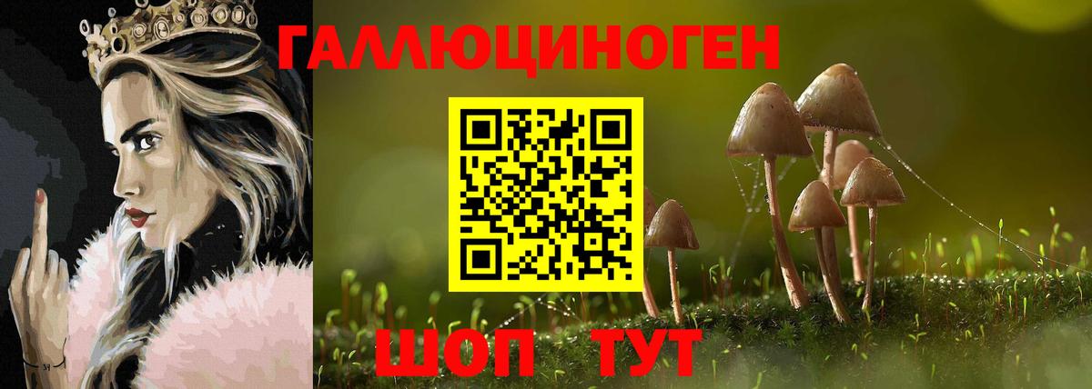 Сердобск  Галлюциногенные грибы мухоморы  Вход с VPN  Галлюциногенные грибы Magic Shrooms 